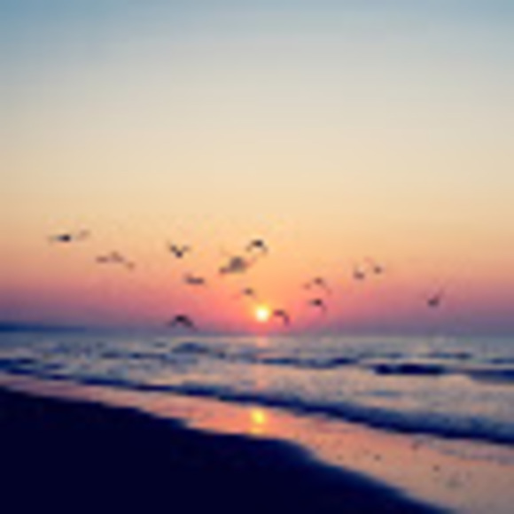 Meet your Posher, Annie - Picture 1 of 1